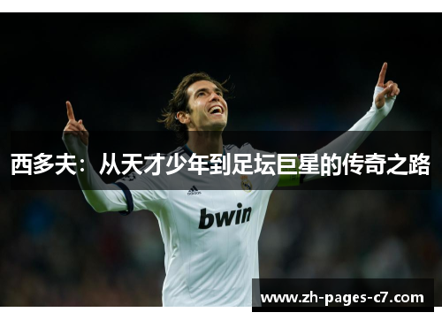 西多夫:从天才少年到足坛巨星的传奇之路 西多夫:从天才少年到足坛巨星的传奇之路